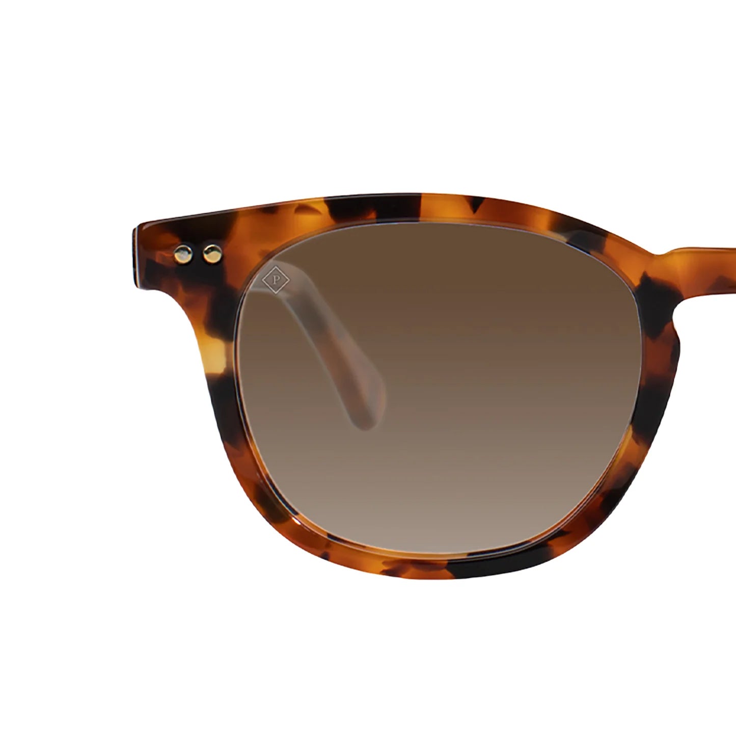 chester sunglasses classic havana brown lenses