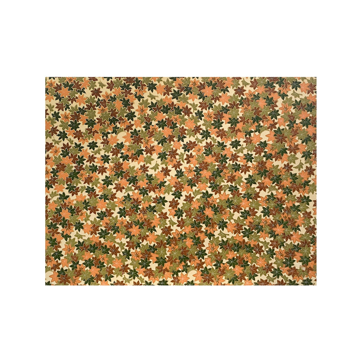Newport 8.5x11 Washi Scrapbook
