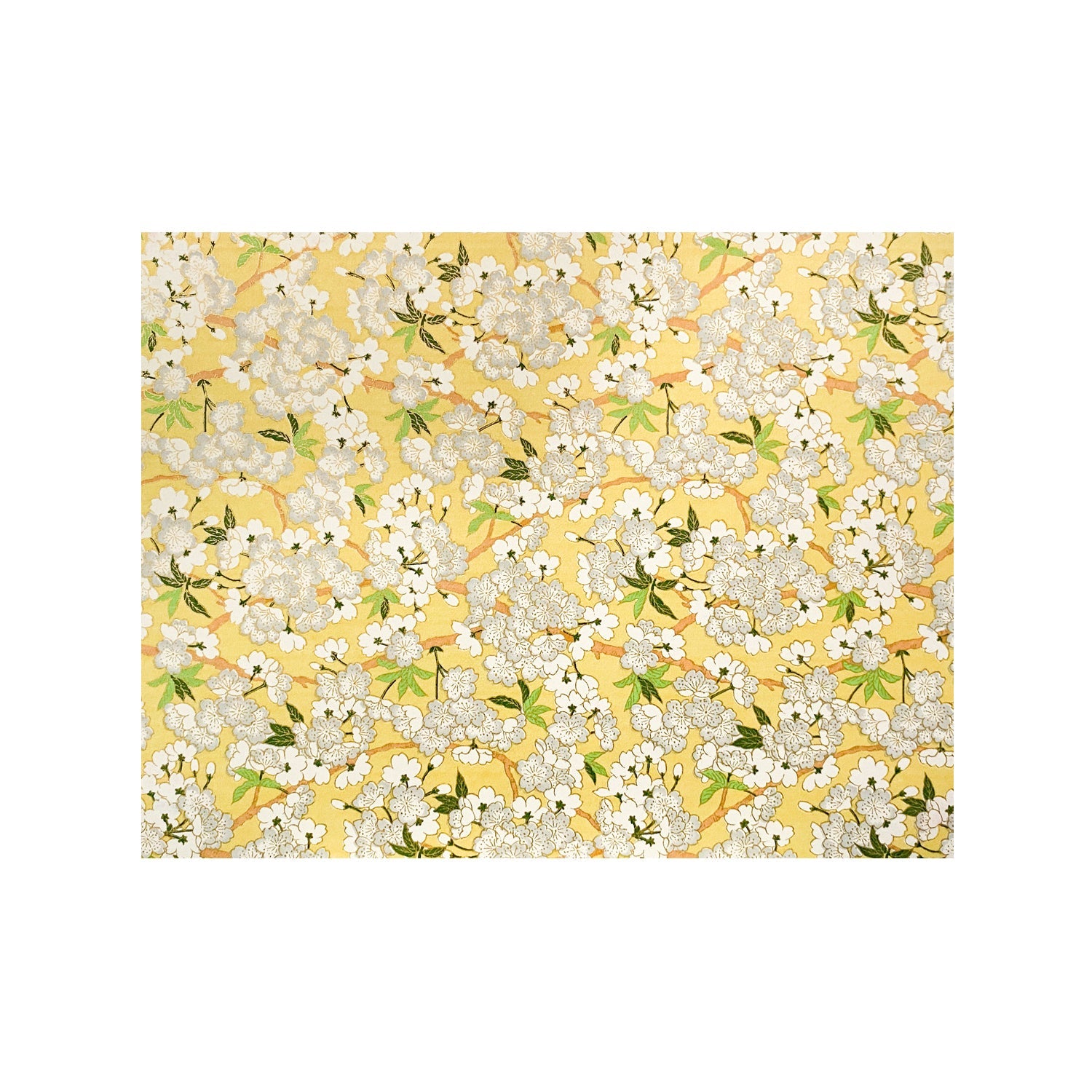 Newport 8.5x11 Washi Scrapbook