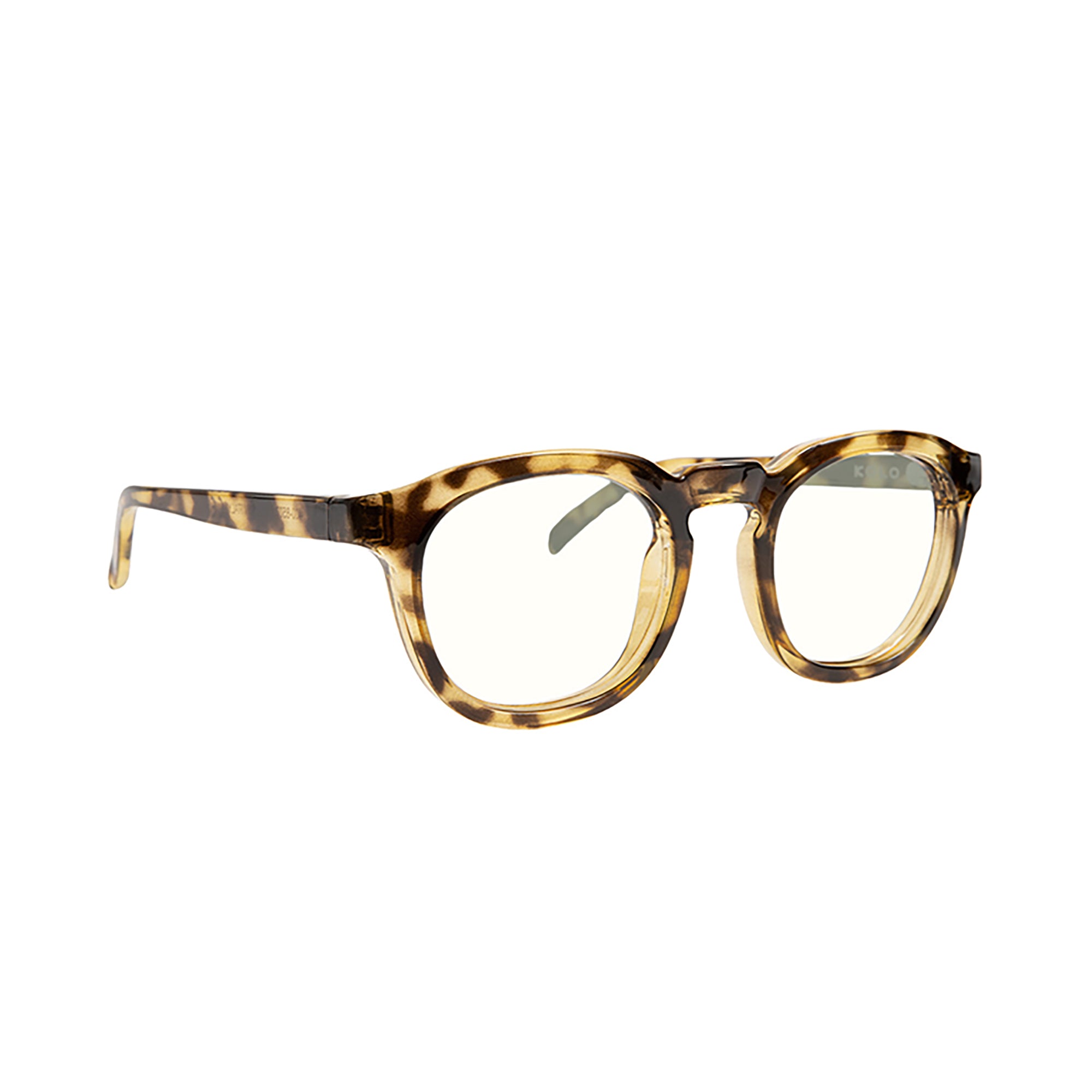 Webster Screen Readers