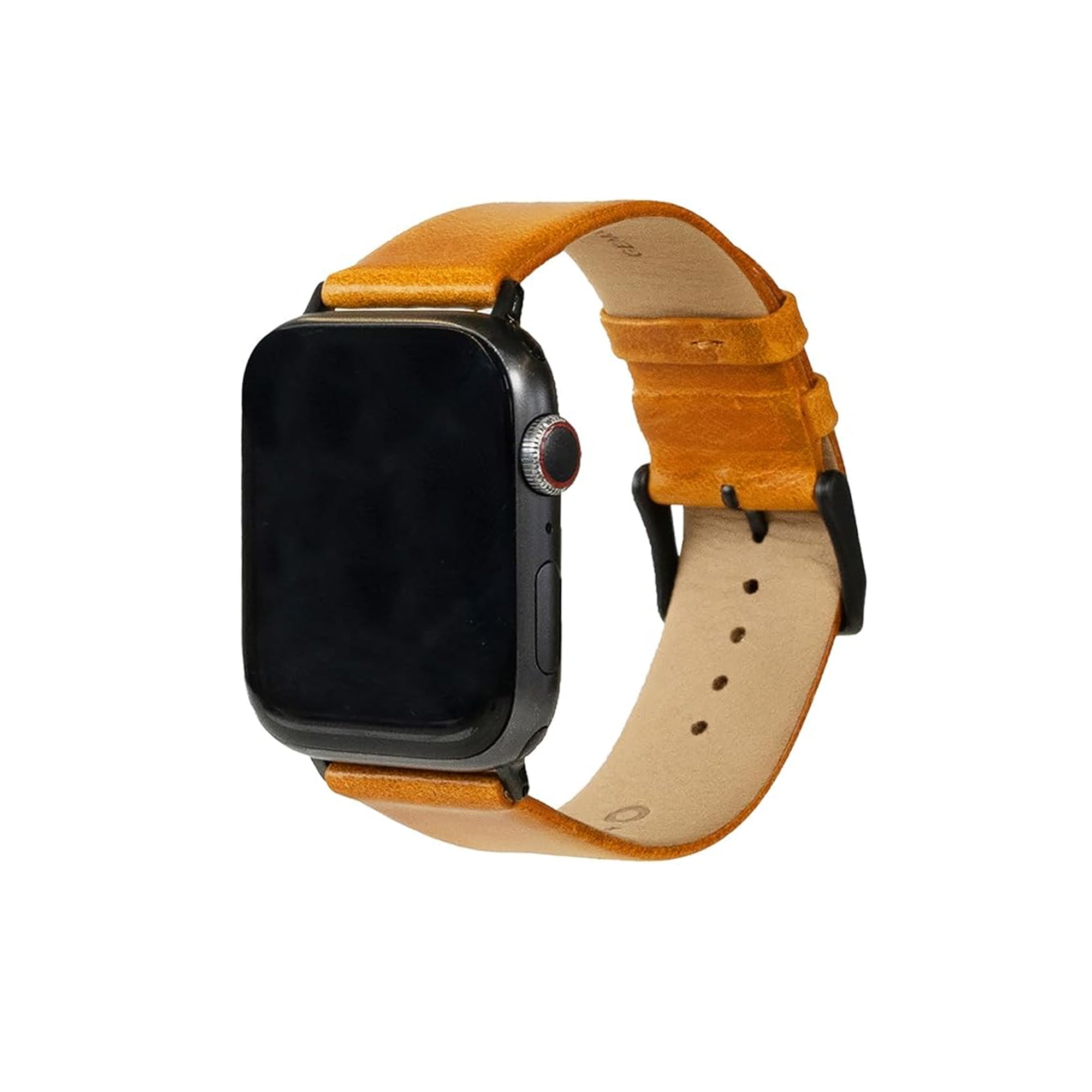Wells Watchband