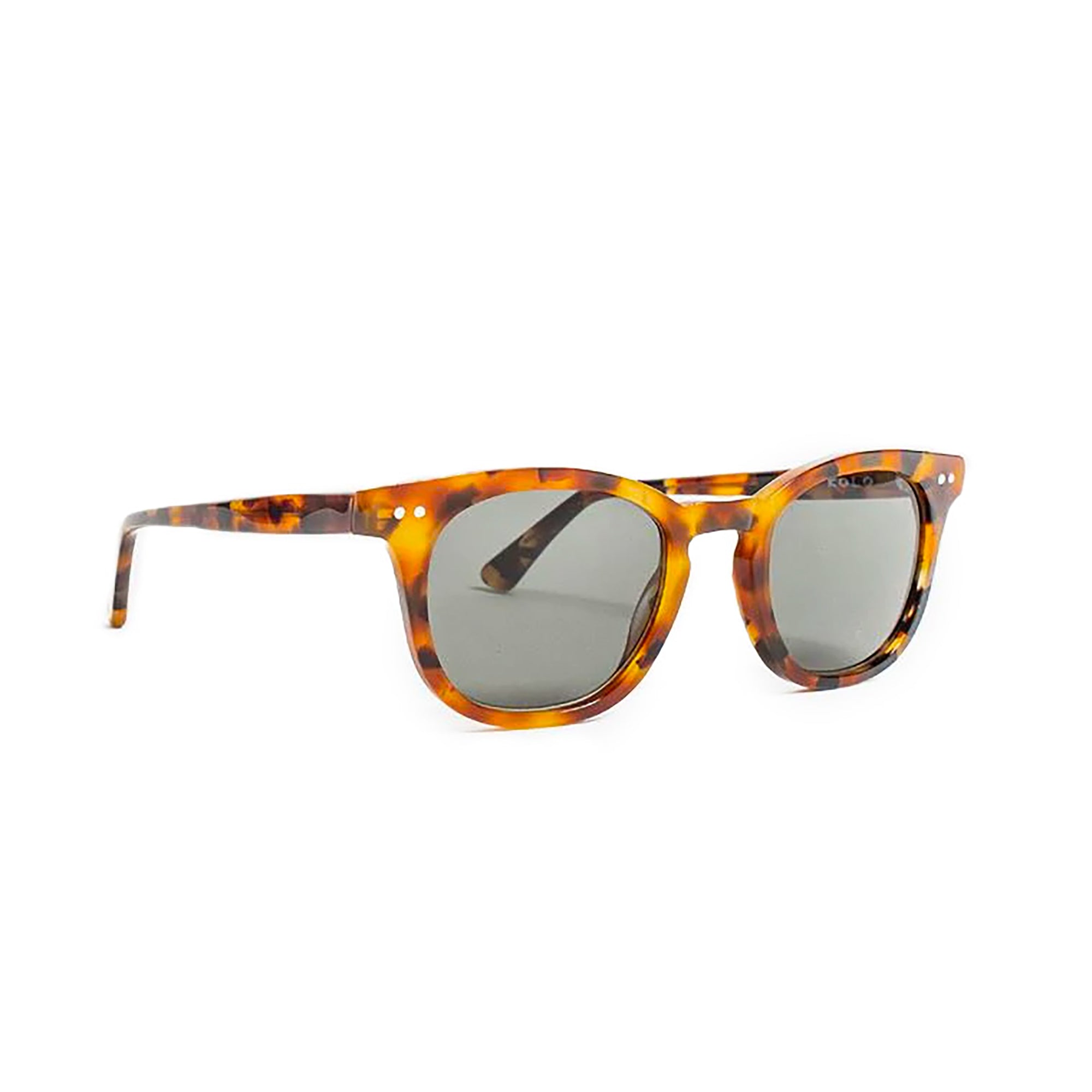 chester classic havana green lens