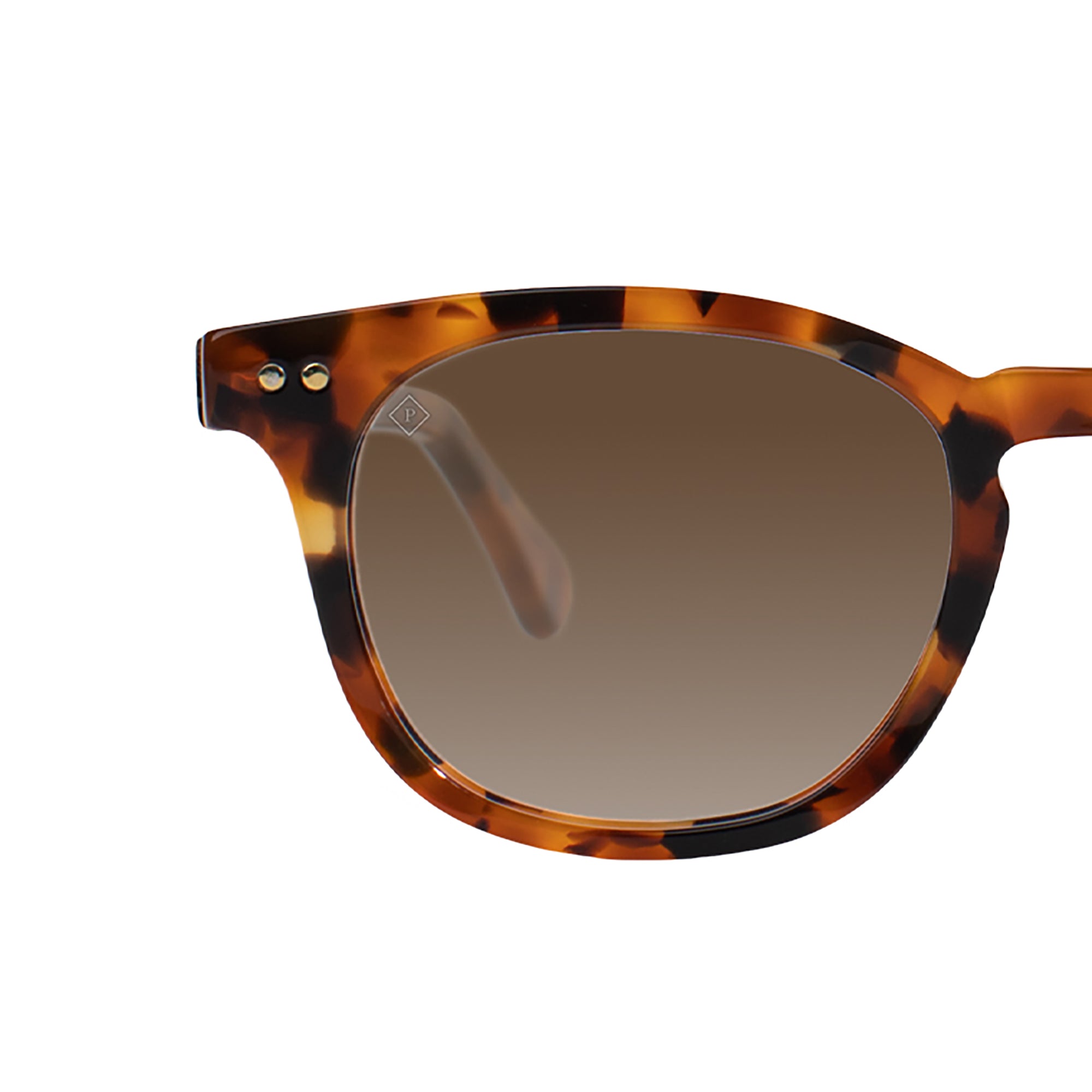 chester classic havana polarized lens