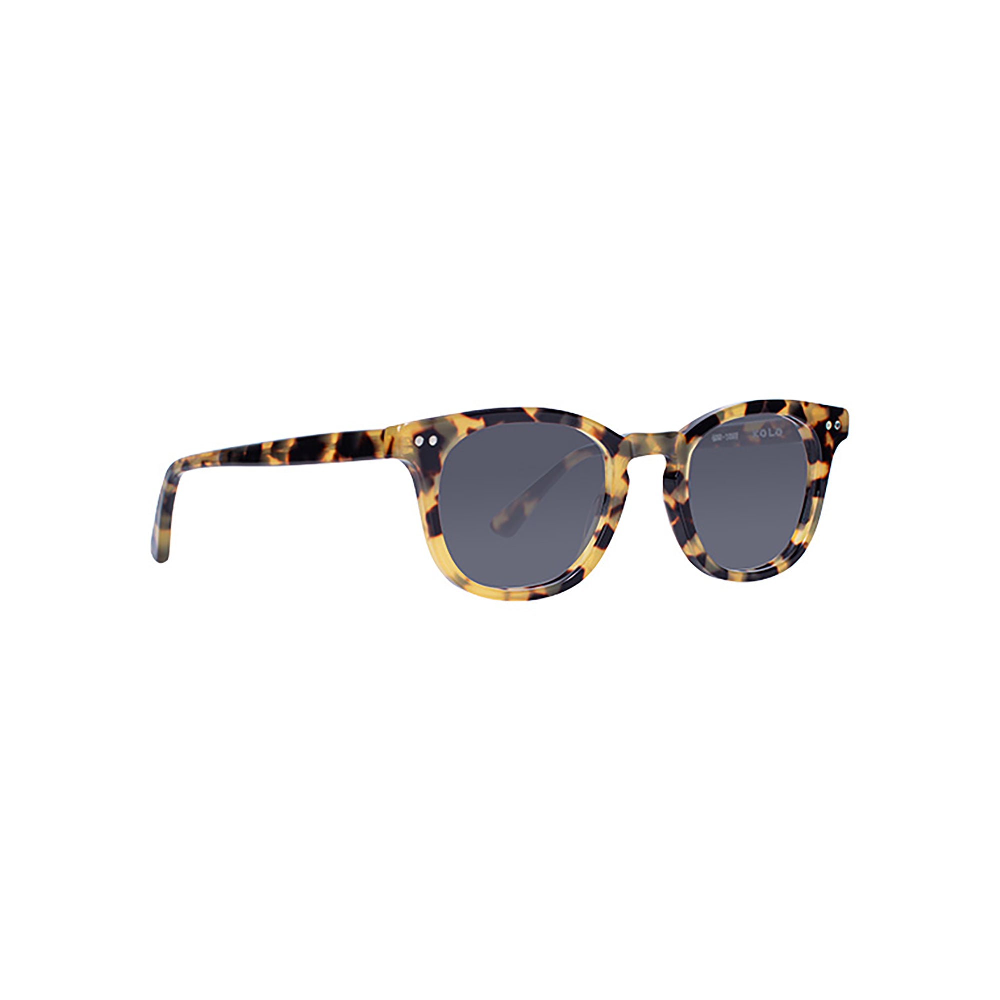 chester tokyo tortoise sunglasses