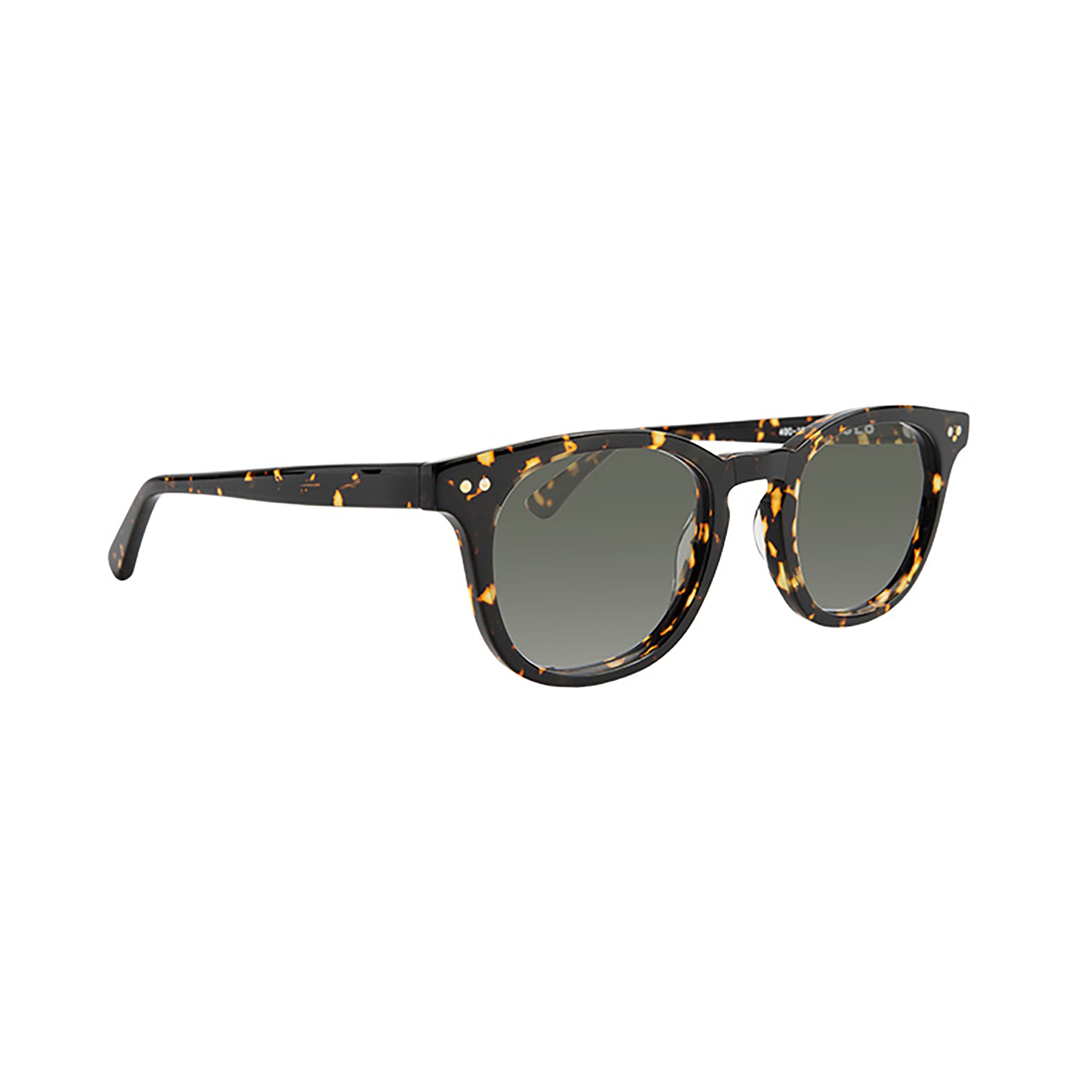 chester whiskey tortoise sunglasses