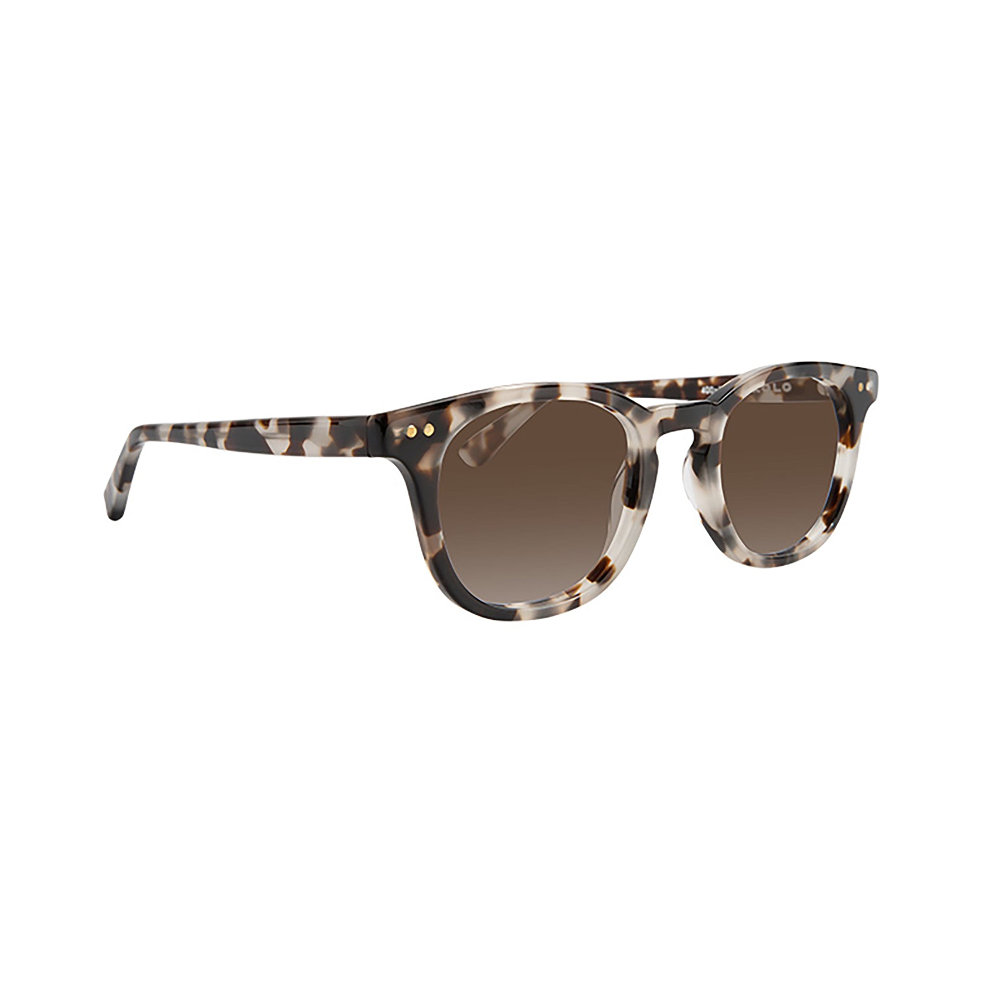 chester white havana sunglasses