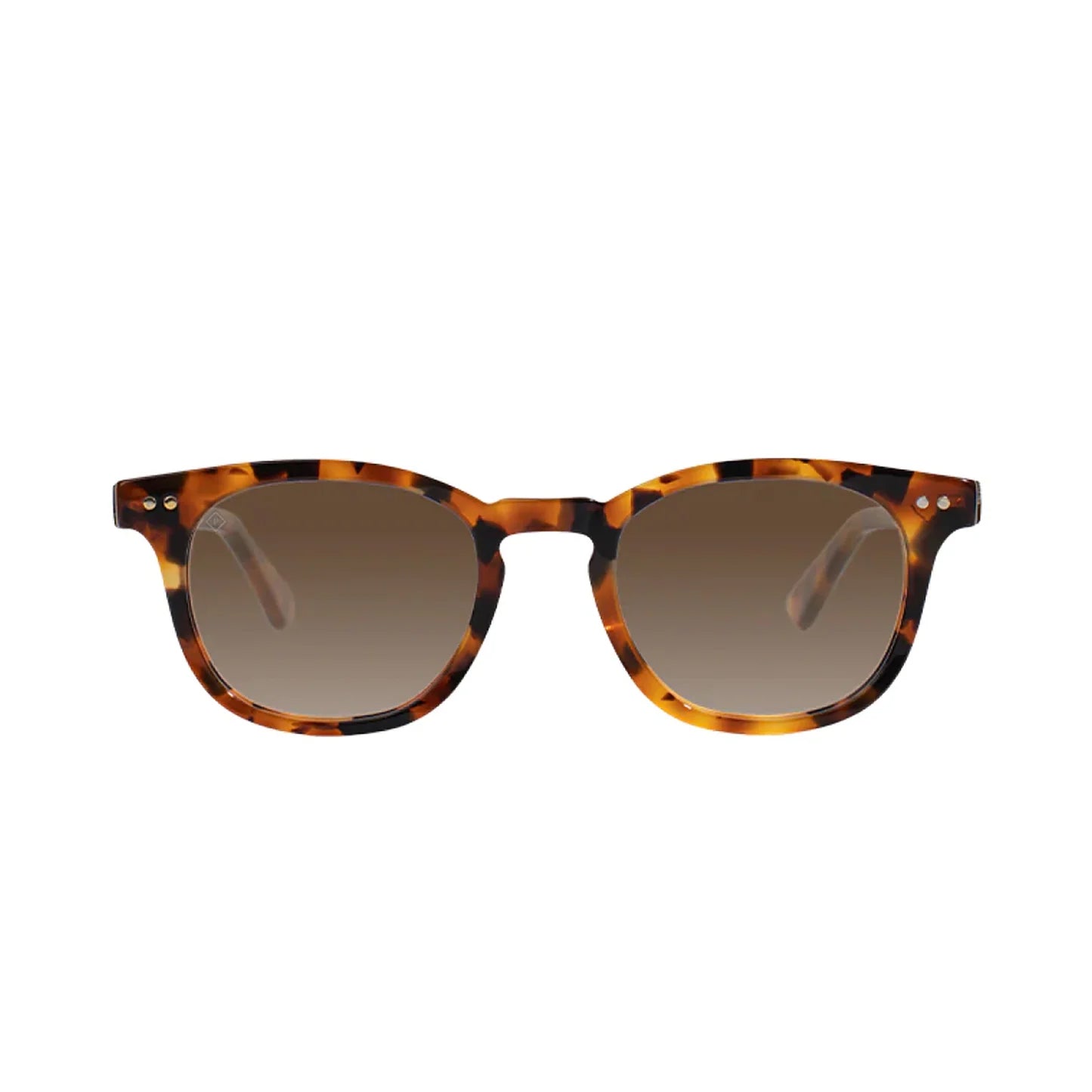 chester classic havana polarized sunglasses