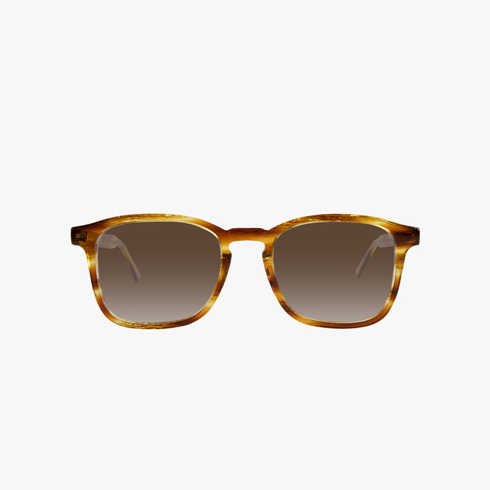 BRADFORD SUNGLASSES