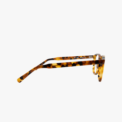 BRADFORD SUNGLASSES