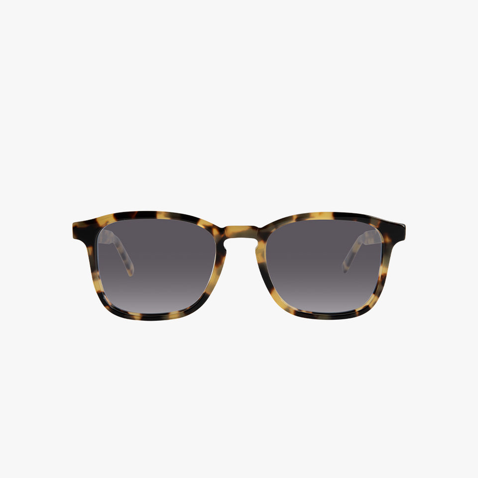 BRADFORD SUNGLASSES