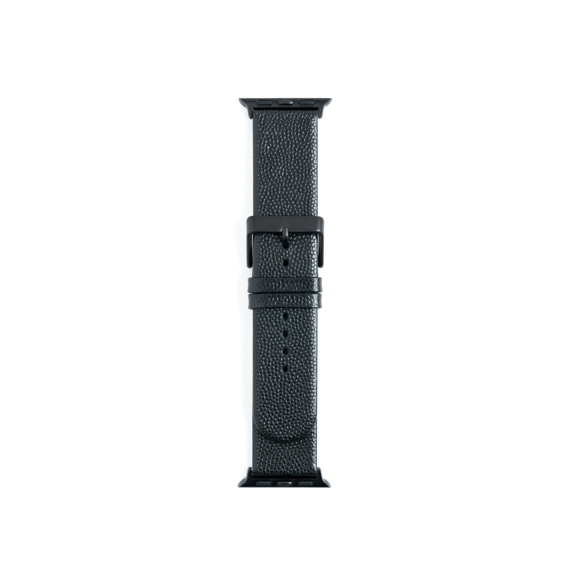 Wells Watchband