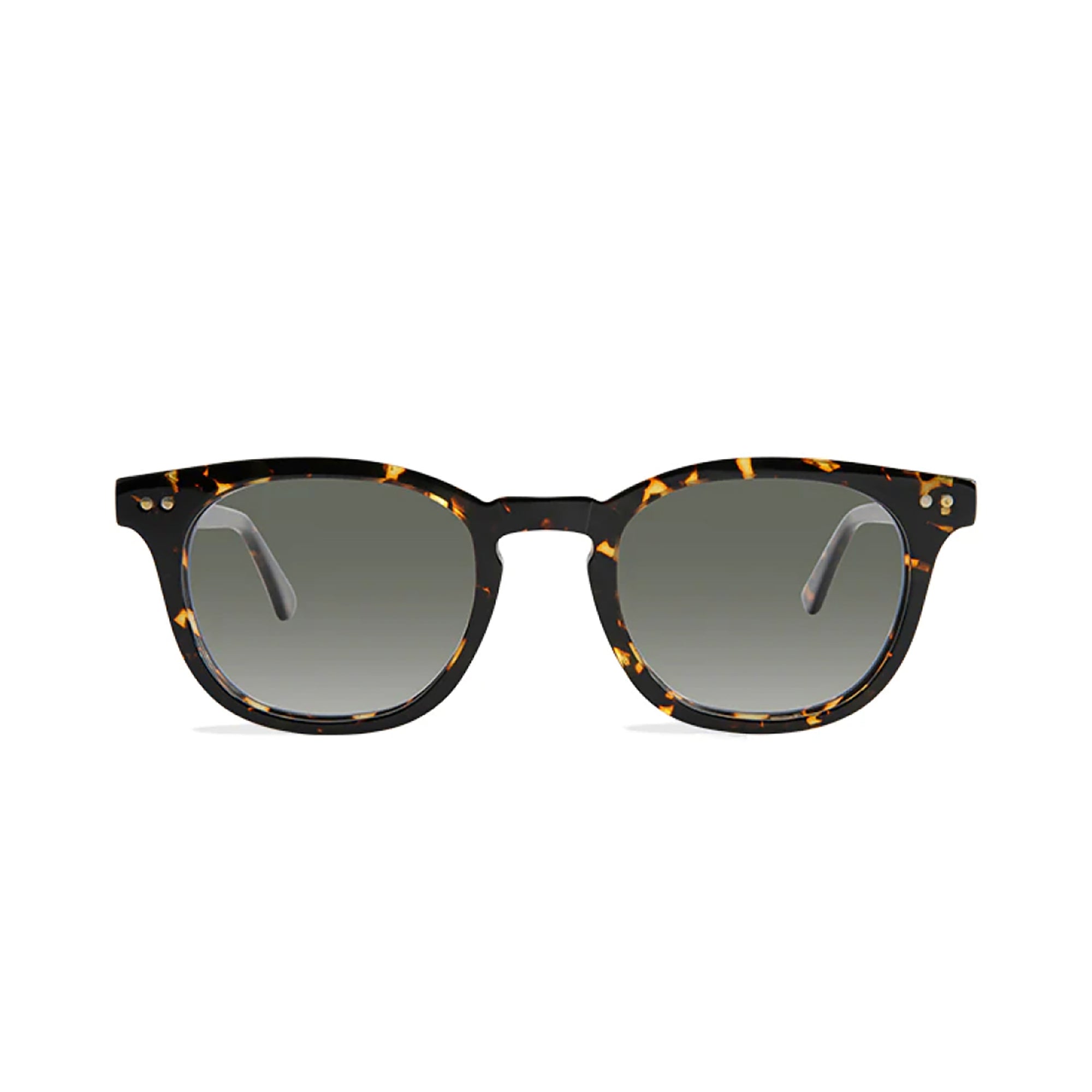 chester whiskey tortoise sunglasses