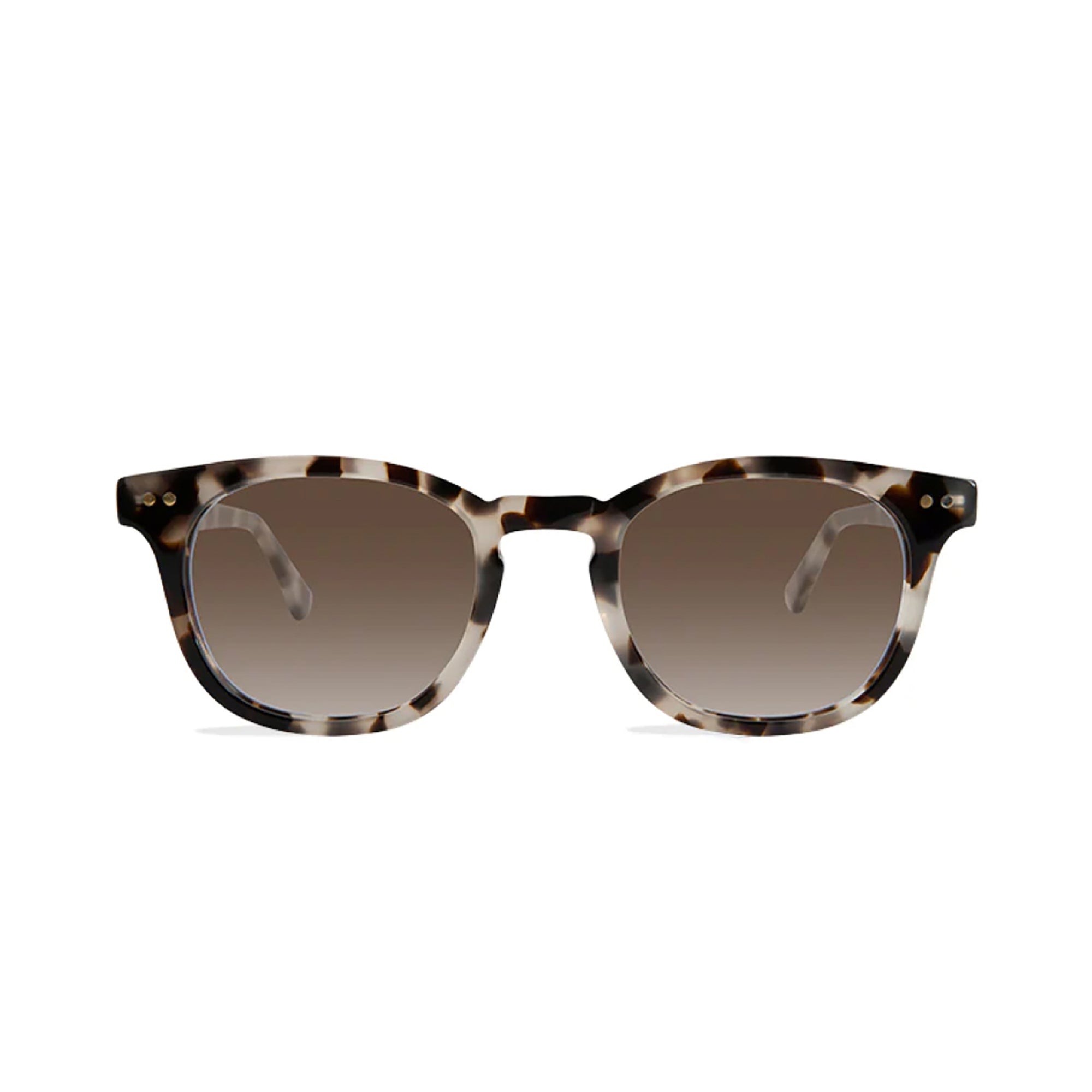 chester white havana sunglasses