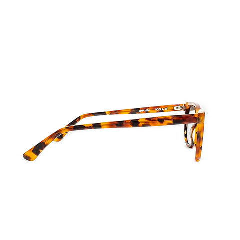 chester white havana sunglasses