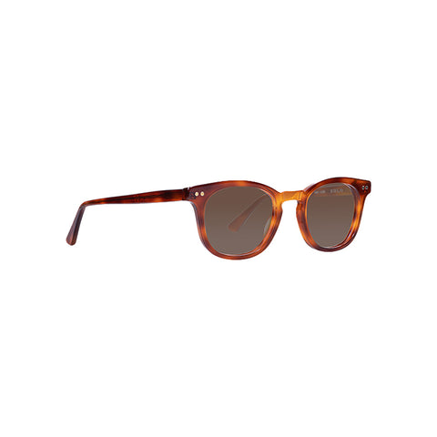 chester classic havana sunglasses