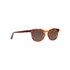 chester orange havana sunglasses