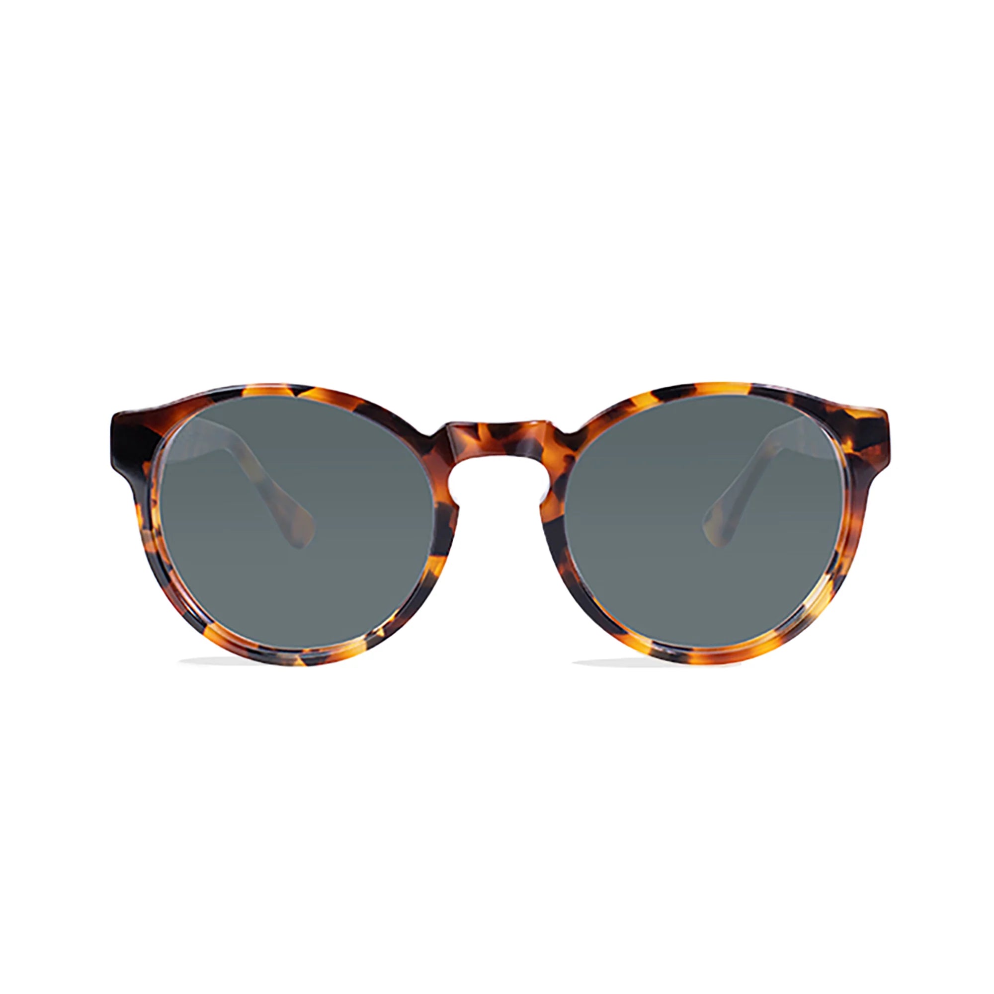 Oxford Sunglasses