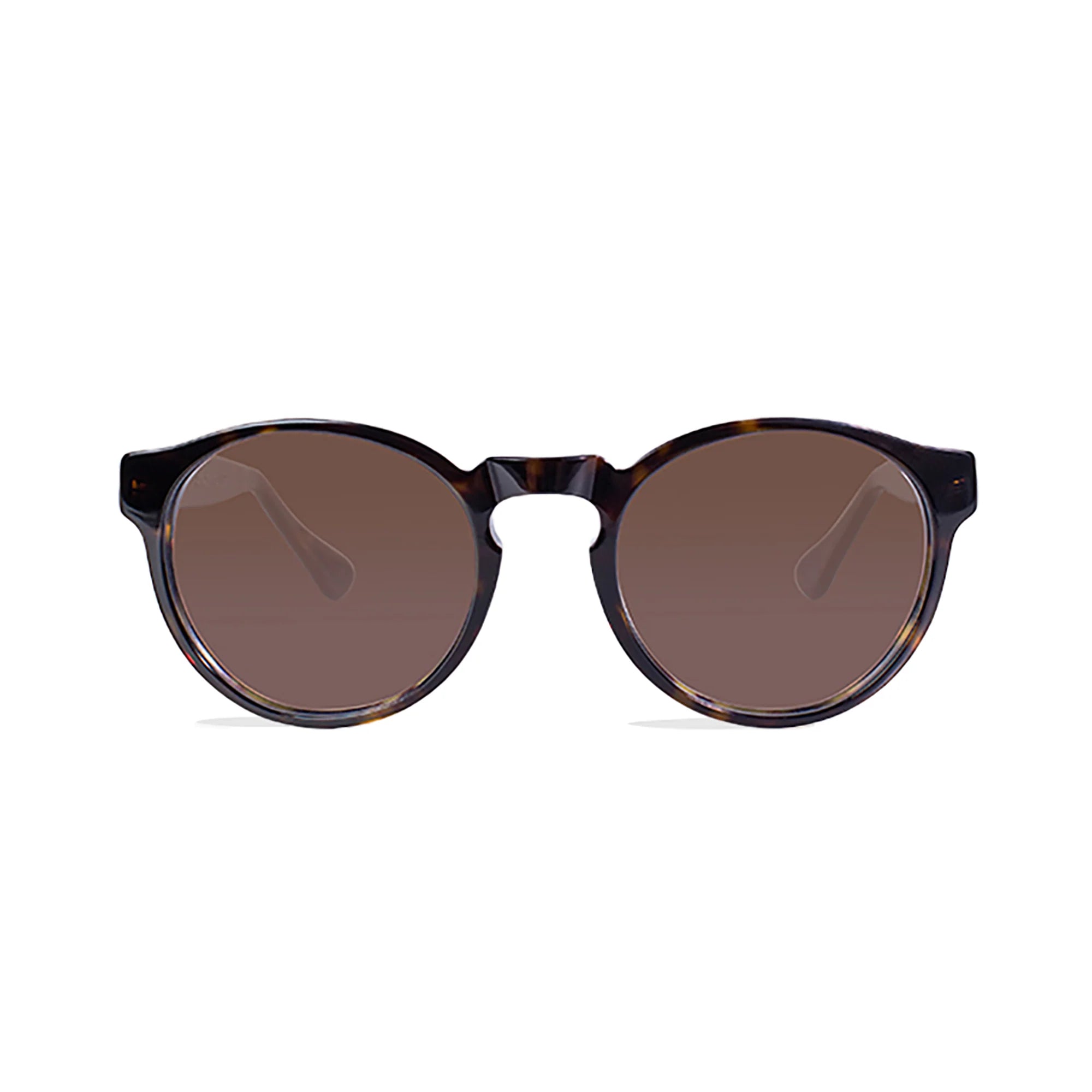 oxford sunglasses dark brown tortoise