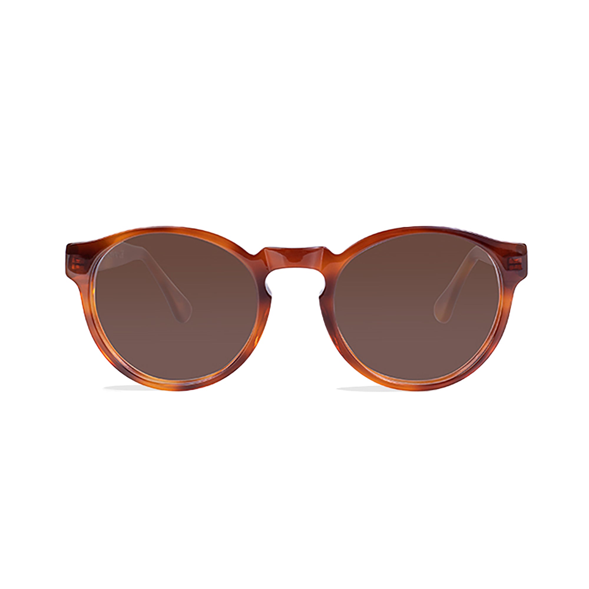 oxford sunglasses in orange