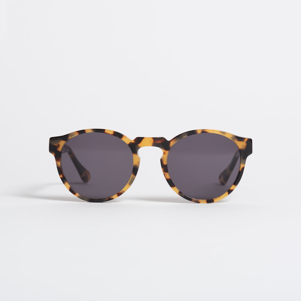 OXFORD SUNGLASSES